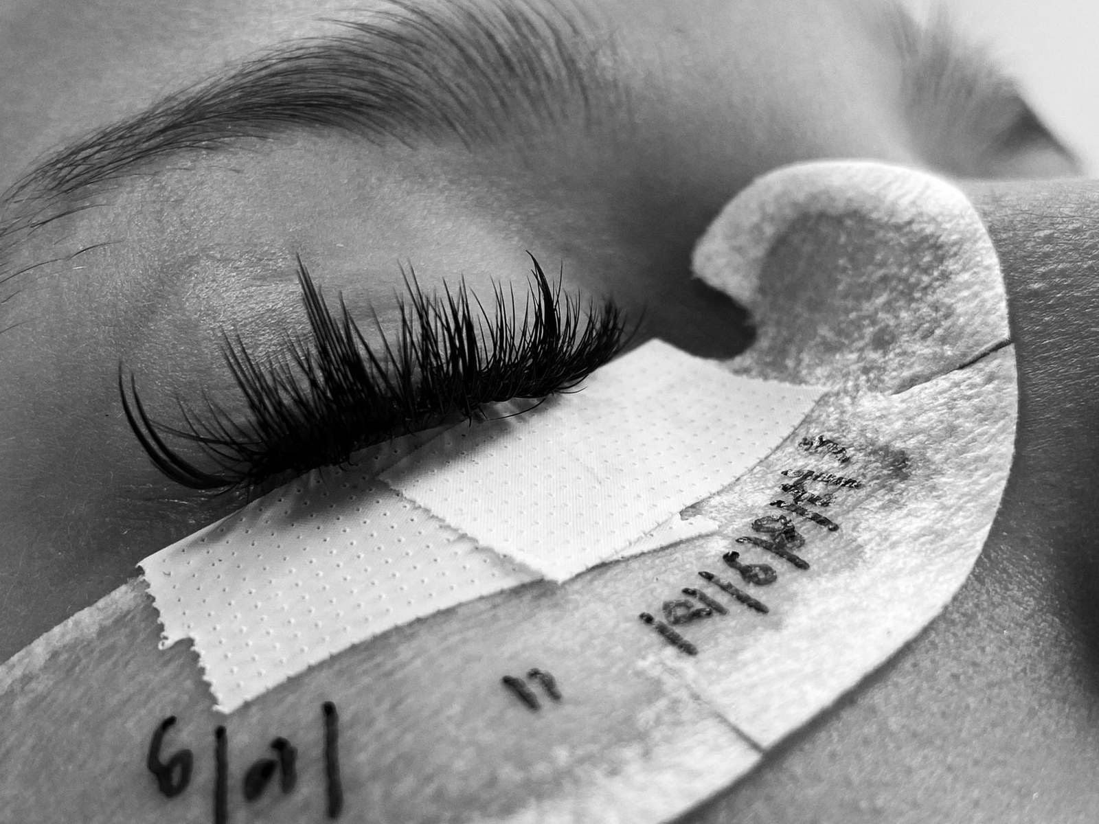 Lashes